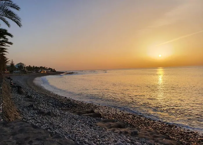 La Tortuga 아파트 아로나